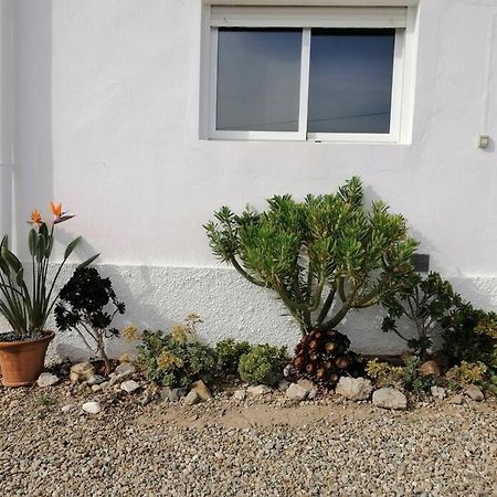 Casa Jardin. Vivienda Rural En Zona Tranquila. Βίλα Lucainena de las Torres Εξωτερικό φωτογραφία