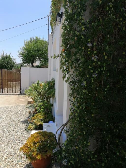 Casa Jardin. Vivienda Rural En Zona Tranquila. Βίλα Lucainena de las Torres Εξωτερικό φωτογραφία