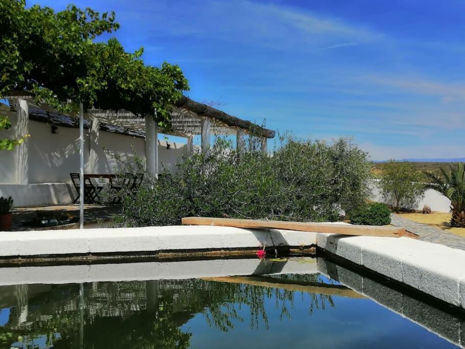 Casa Jardin. Vivienda Rural En Zona Tranquila. Βίλα Lucainena de las Torres Εξωτερικό φωτογραφία