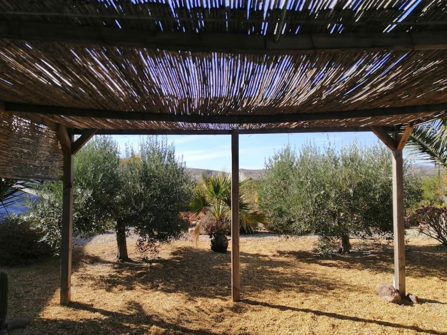 Casa Jardin. Vivienda Rural En Zona Tranquila. Βίλα Lucainena de las Torres Εξωτερικό φωτογραφία