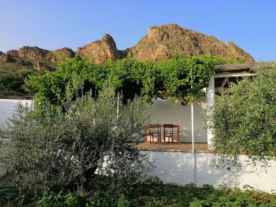 Casa Jardin. Vivienda Rural En Zona Tranquila. Βίλα Lucainena de las Torres Εξωτερικό φωτογραφία