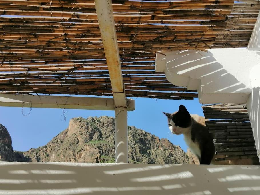 Casa Jardin. Vivienda Rural En Zona Tranquila. Βίλα Lucainena de las Torres Εξωτερικό φωτογραφία