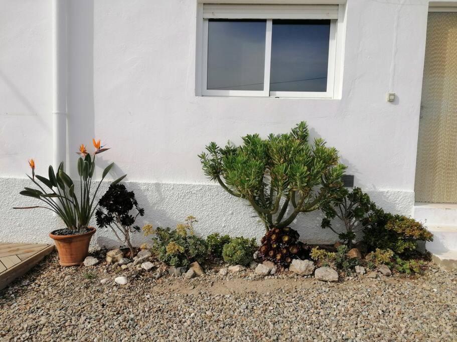 Casa Jardin. Vivienda Rural En Zona Tranquila. Βίλα Lucainena de las Torres Εξωτερικό φωτογραφία