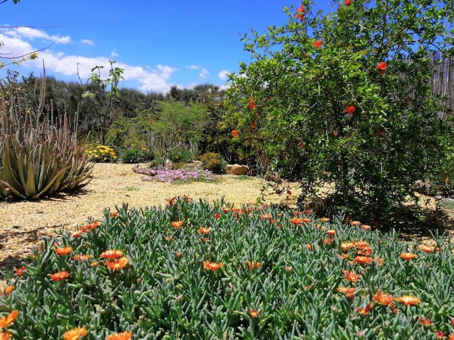 Casa Jardin. Vivienda Rural En Zona Tranquila. Βίλα Lucainena de las Torres Εξωτερικό φωτογραφία